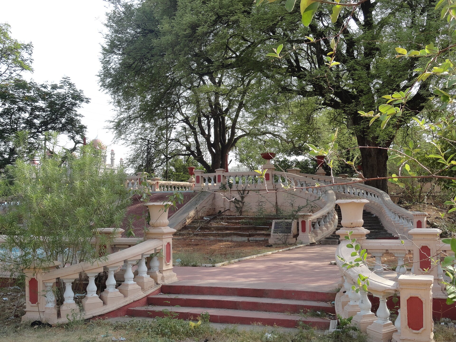 The old tamarind tree in the grounds of Osmania General Hospital, Hyderabad